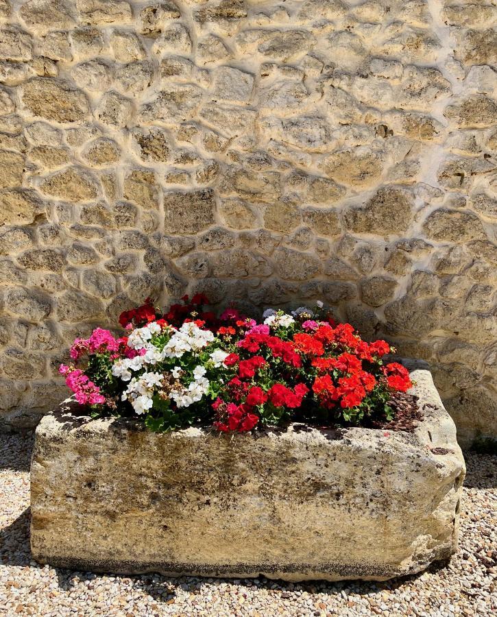 La Suite A Chateau Franc Daut Saint-Magne-de-Castillon Buitenkant foto