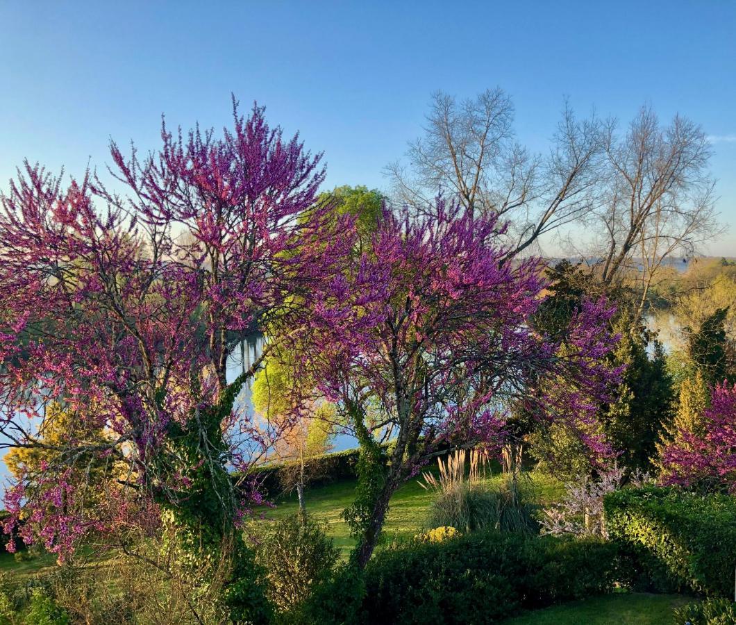 La Suite A Chateau Franc Daut Saint-Magne-de-Castillon Buitenkant foto